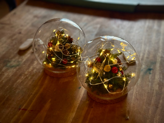 Preserved Cedar Christmas Tree Light Ball Workshop