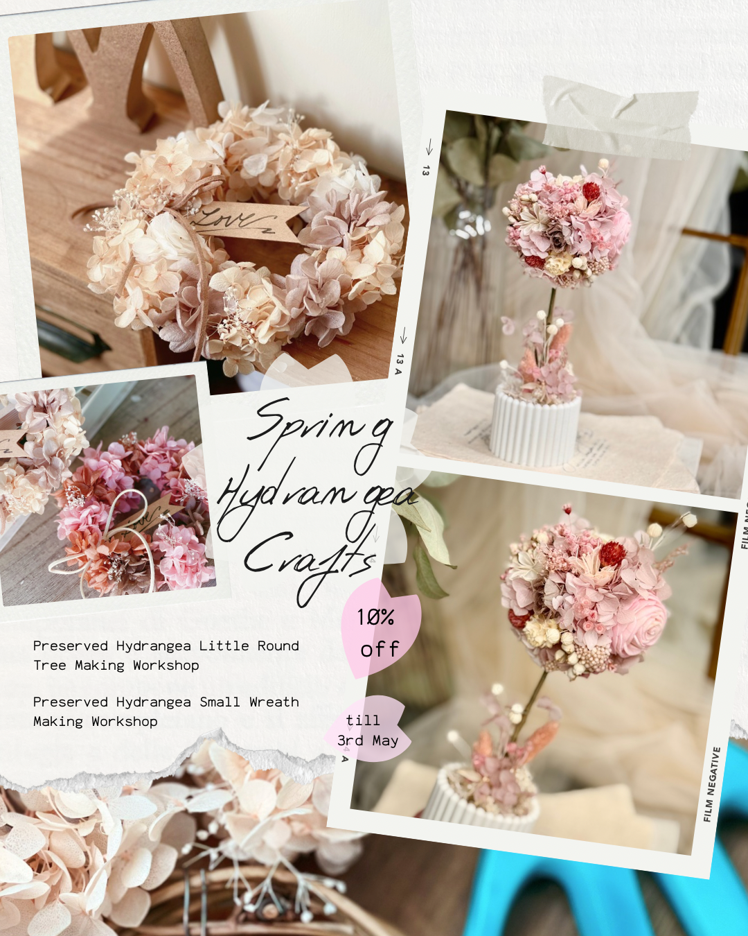 Hydrangea Crafts