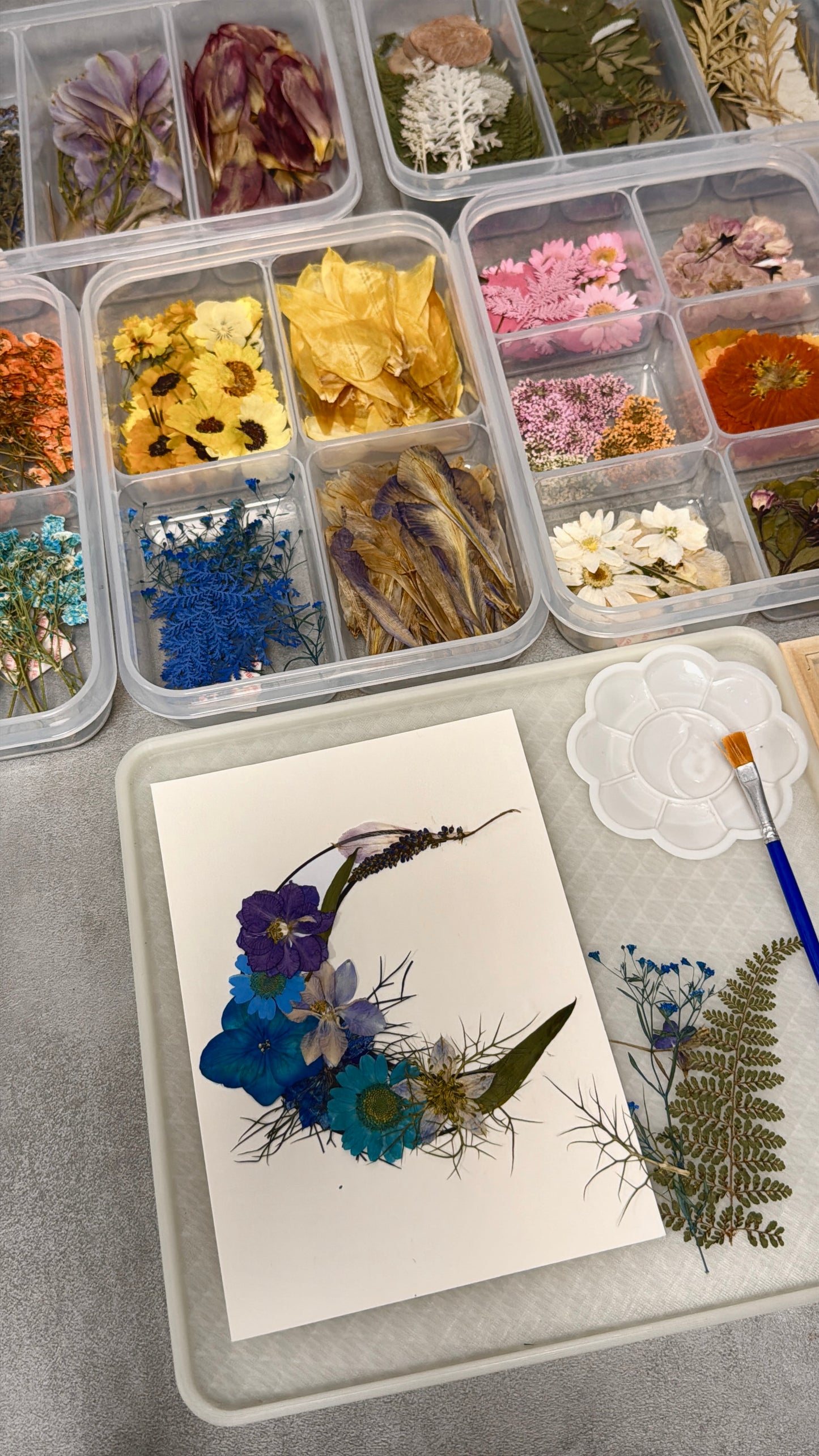 Crescent Moon Pressed Flower Art Workshop - Leeds Exclusive