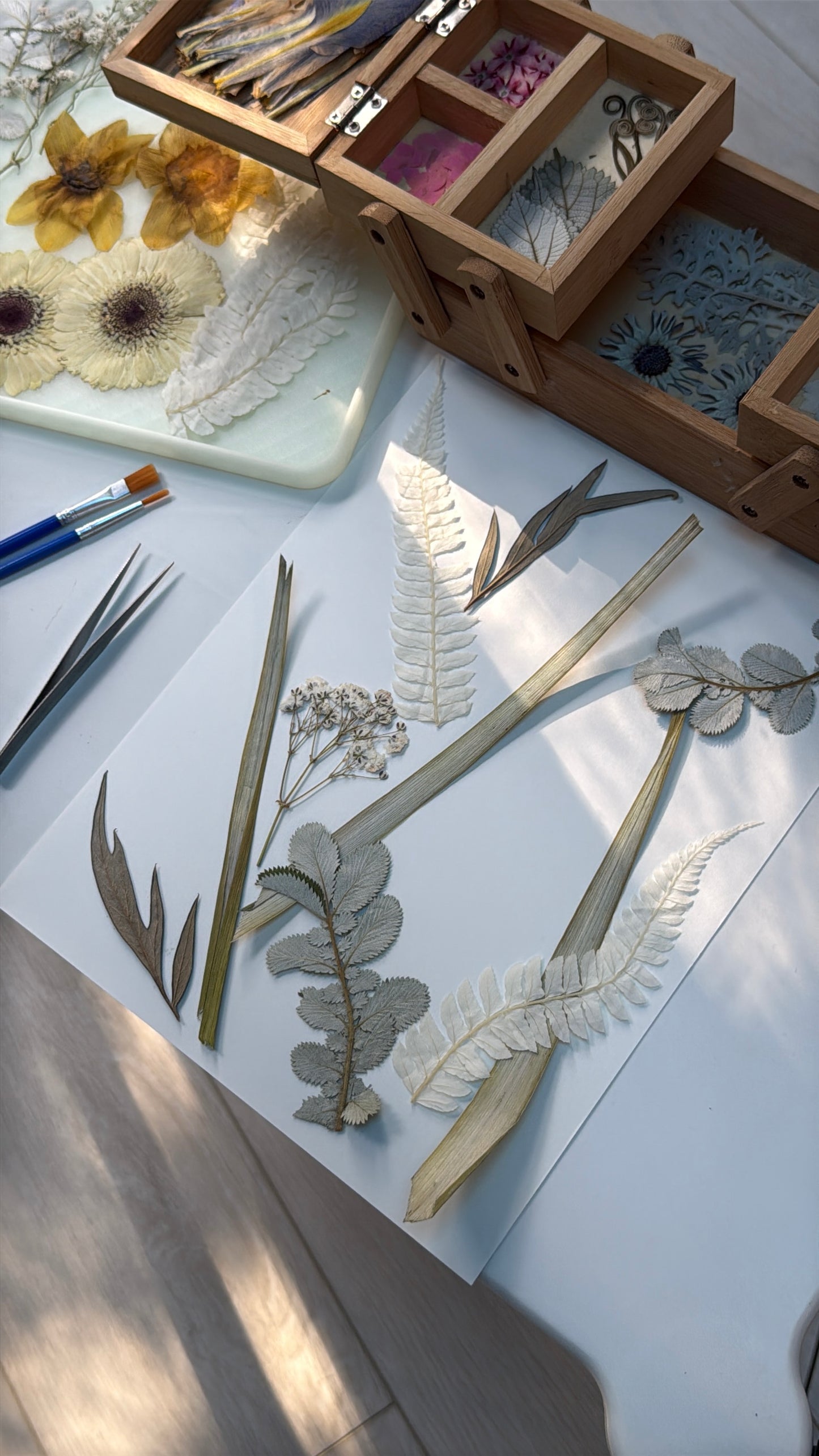 Pressed Botanical Frame Making Workshop