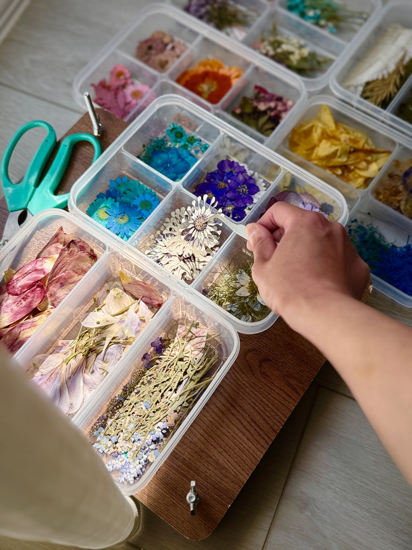 Crescent Moon Pressed Flower Art Workshop - Leeds Exclusive