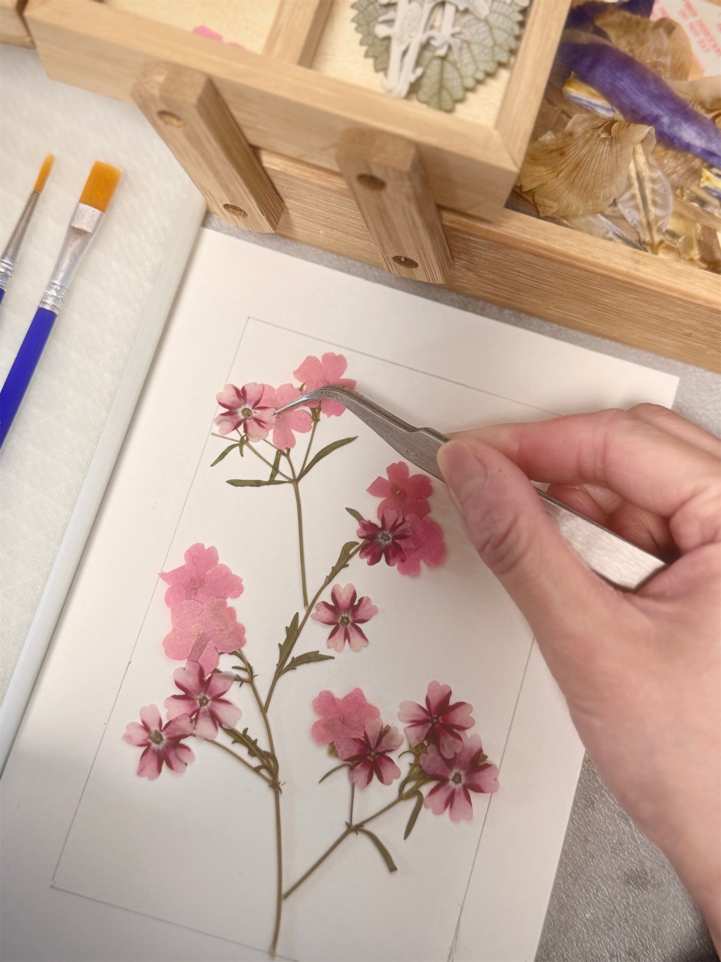 Pressed Botanical Frame Making Workshop