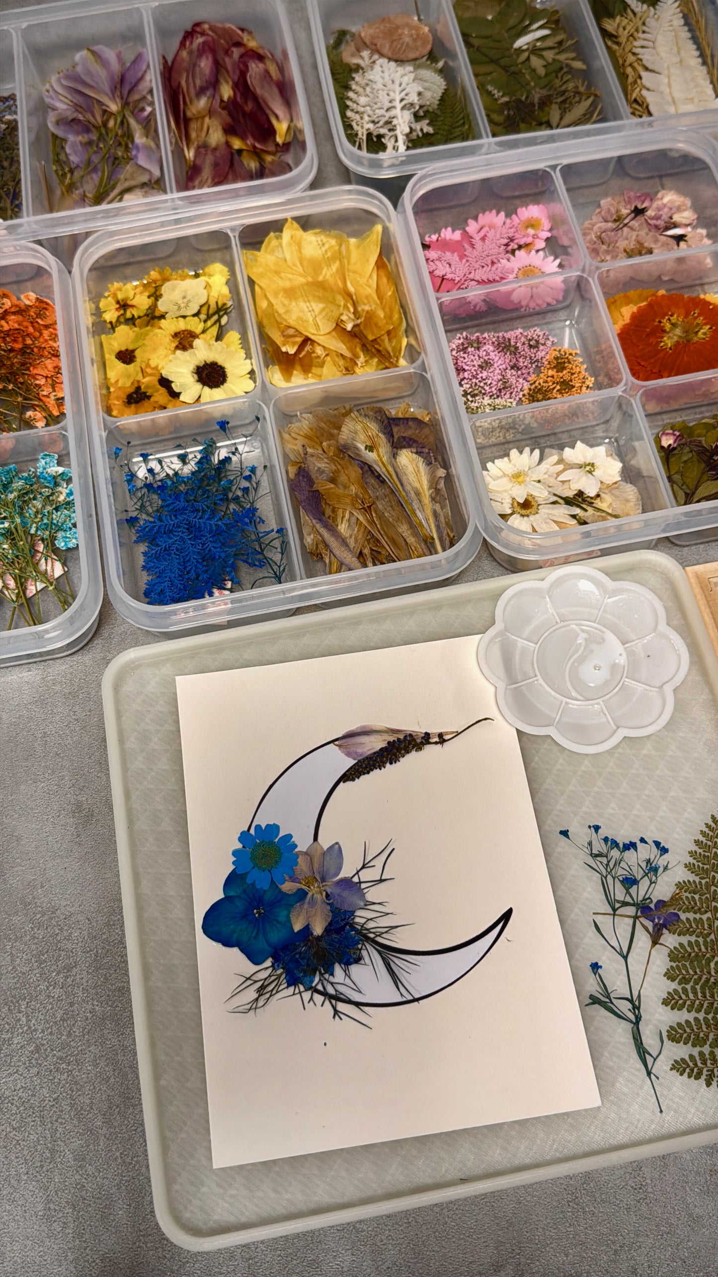 Crescent Moon Pressed Flower Art Workshop - Leeds Exclusive