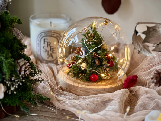 Preserved Cedar Christmas Tree Light Ball Workshop