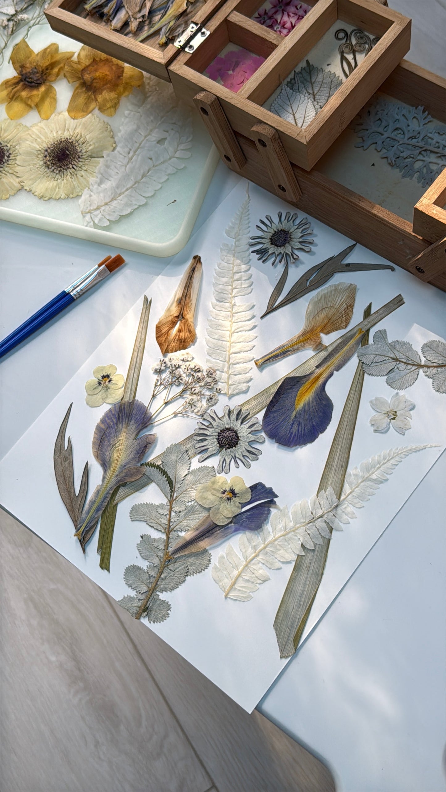 Pressed Botanical Frame Making Workshop