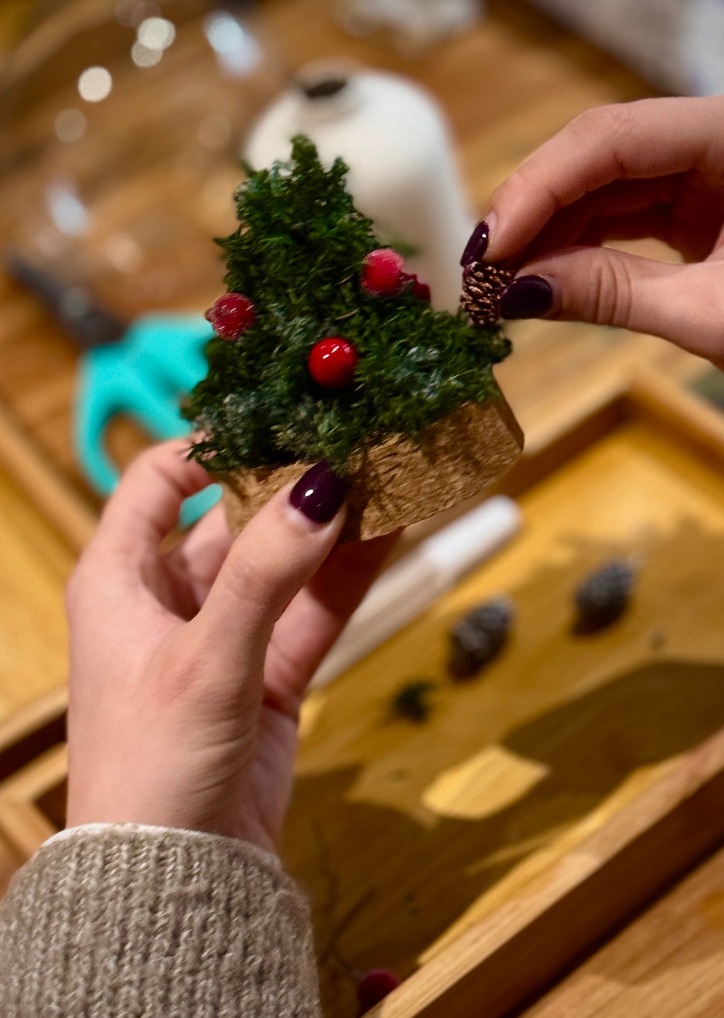 Preserved Cedar Christmas Tree Light Ball Workshop
