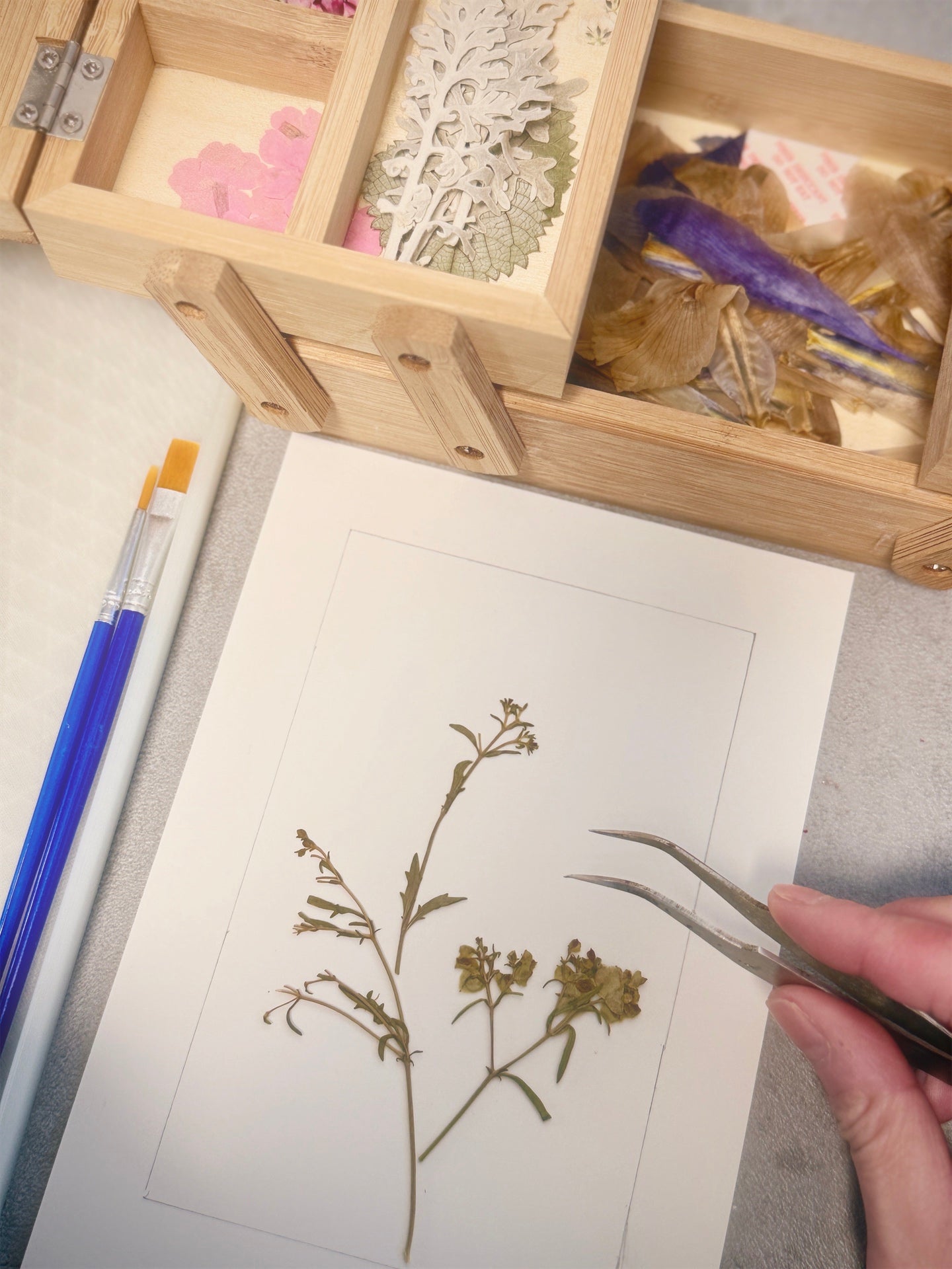 Pressed Botanical Frame Making Workshop